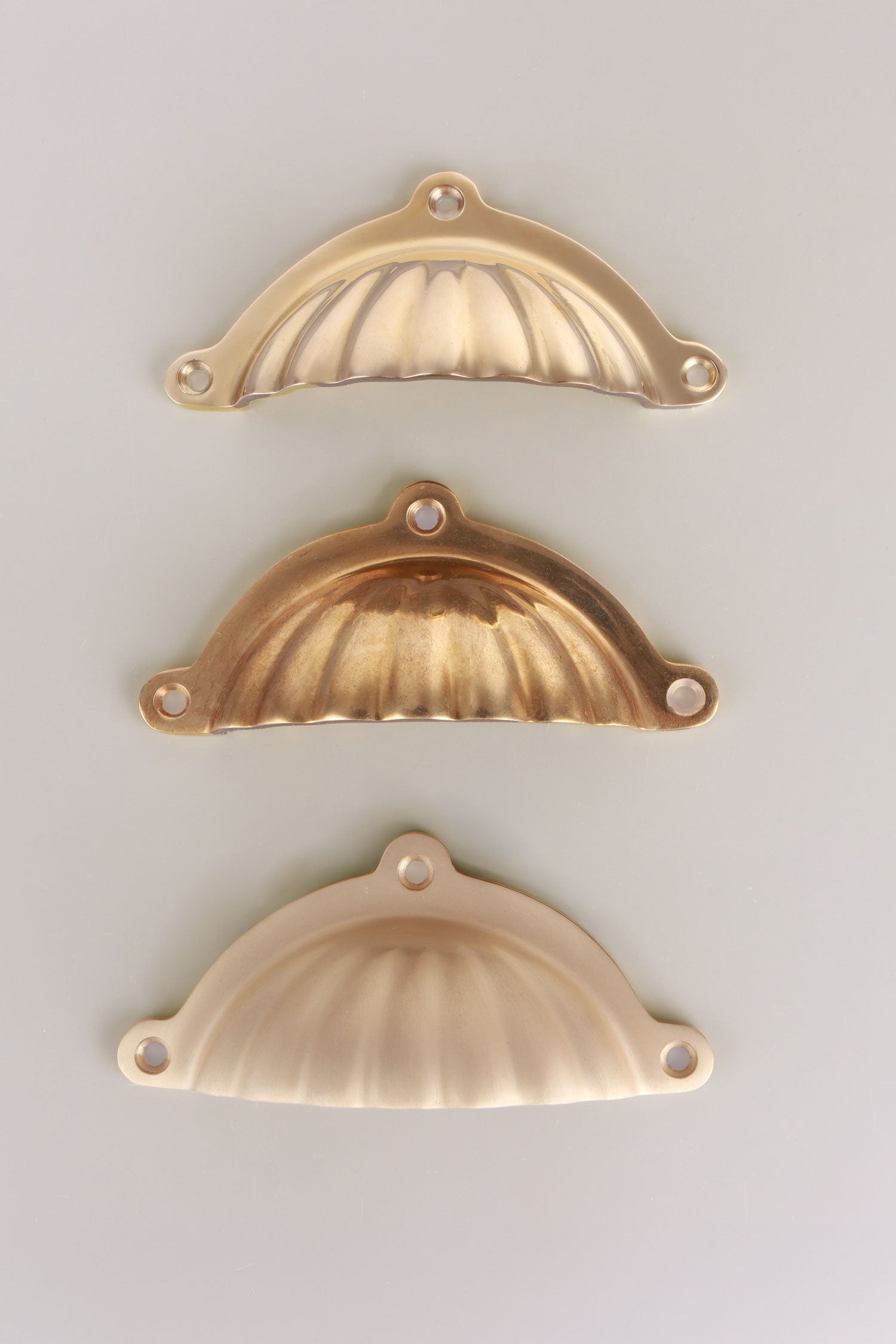 Scalloped brass cup pulls grouped, showing the shell ribs