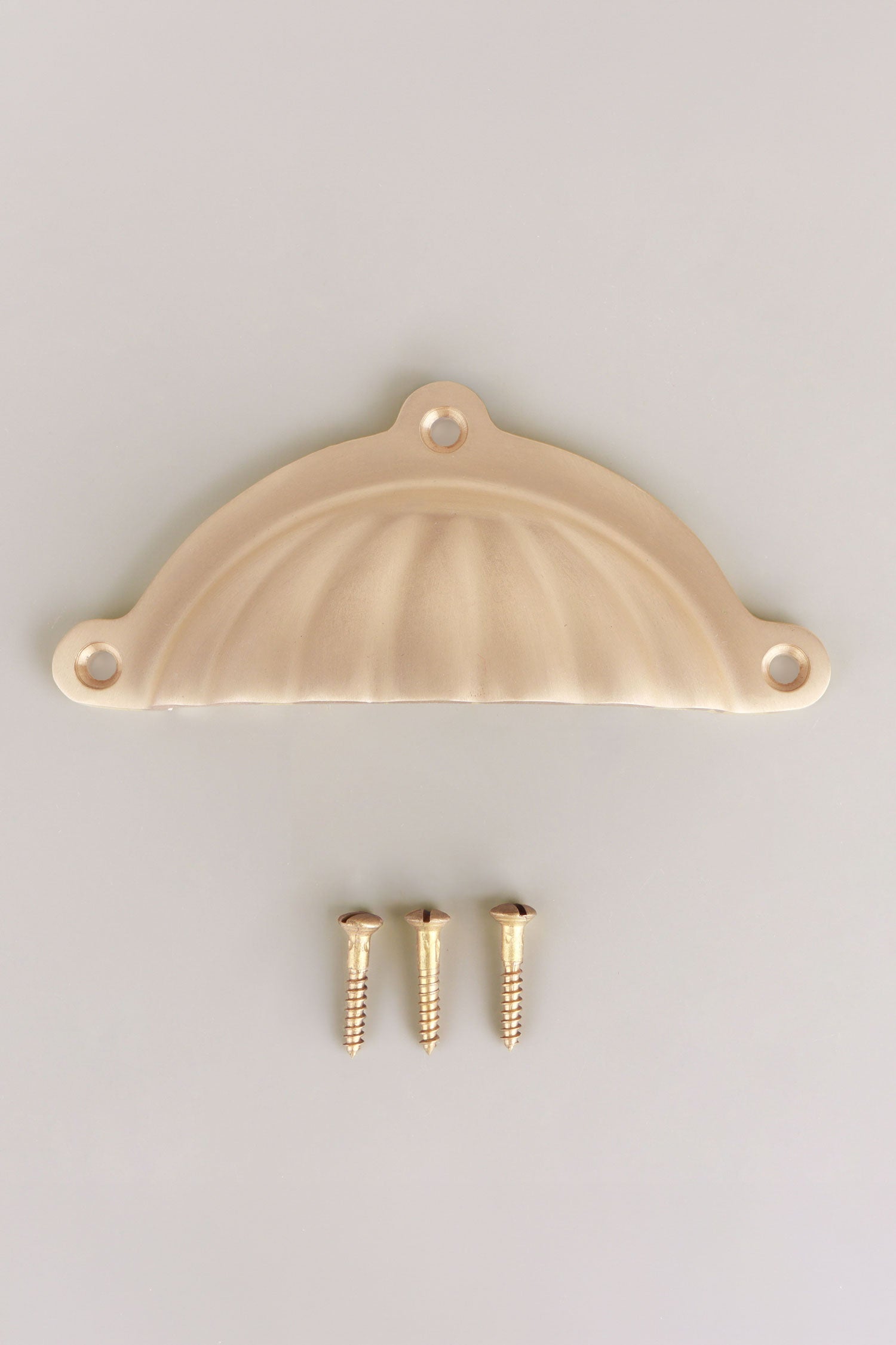 Scalloped cup pull in satin brass, lacquered finish
