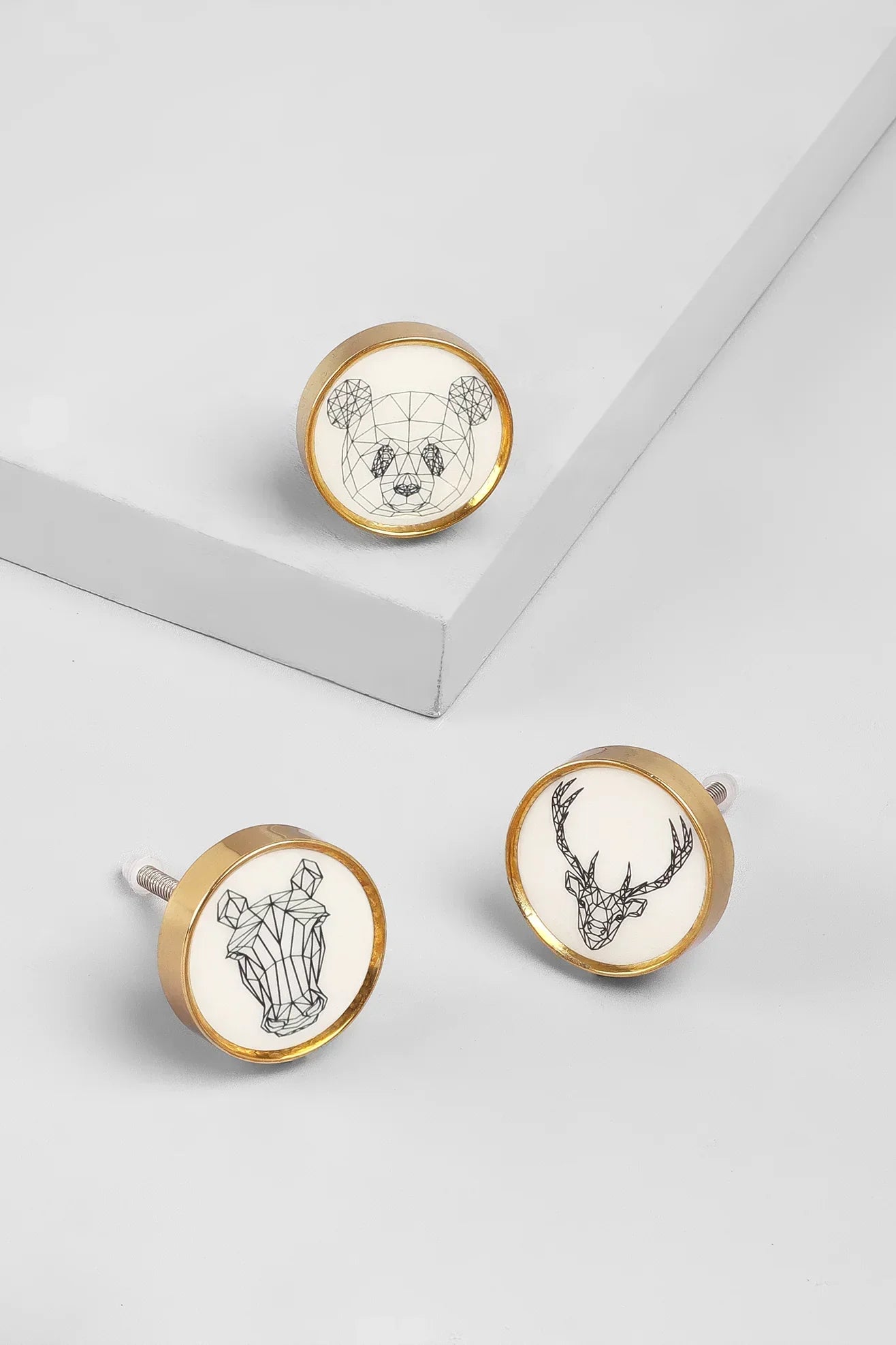 Wild Animal Brass Cabinet Knob Collection — close-up view, G Decor