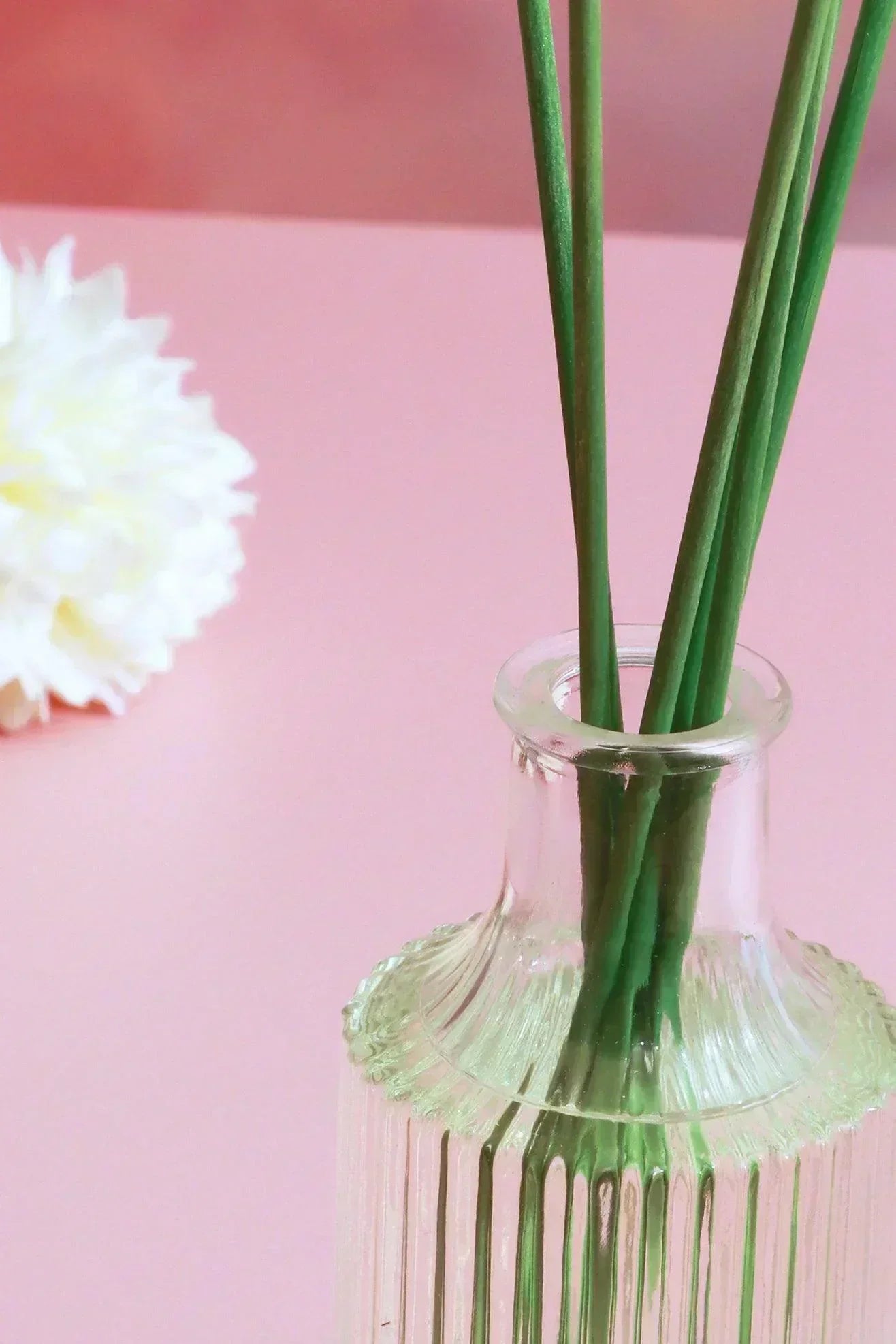 aromatic-shea-scented-diffuser-with-gift-box-g-decor-88913 - G Decor
