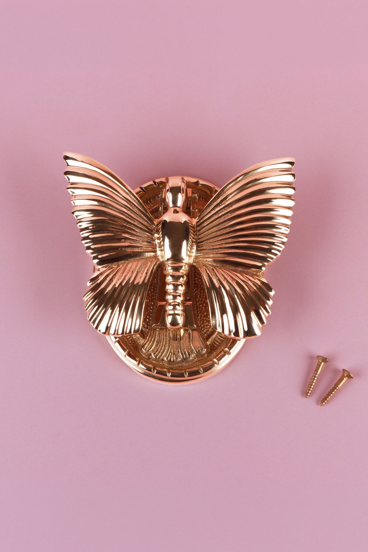 Brass butterfly door knocker from the front with its two fixing screws