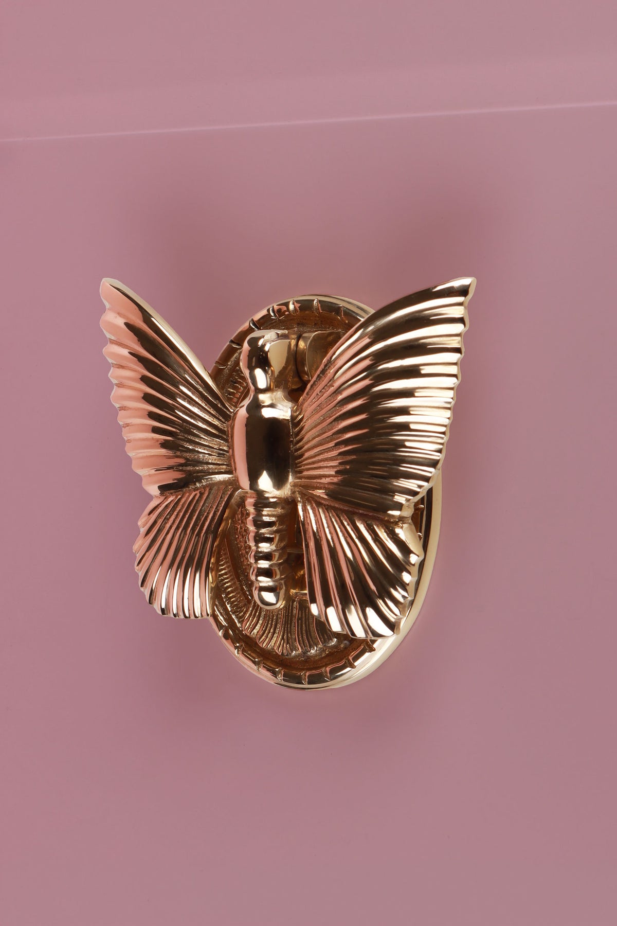 Polished brass butterfly door knocker against a dusky pink background, its wings spread over the oval back plate