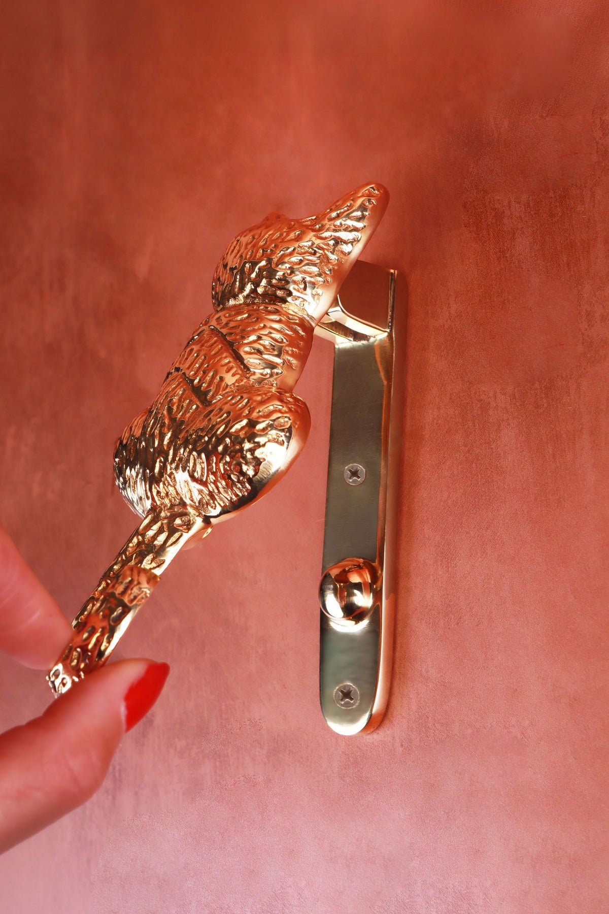 Hand lifting the brass cat door knocker by its tail, showing the slim back plate, its two screws and the round strike button
