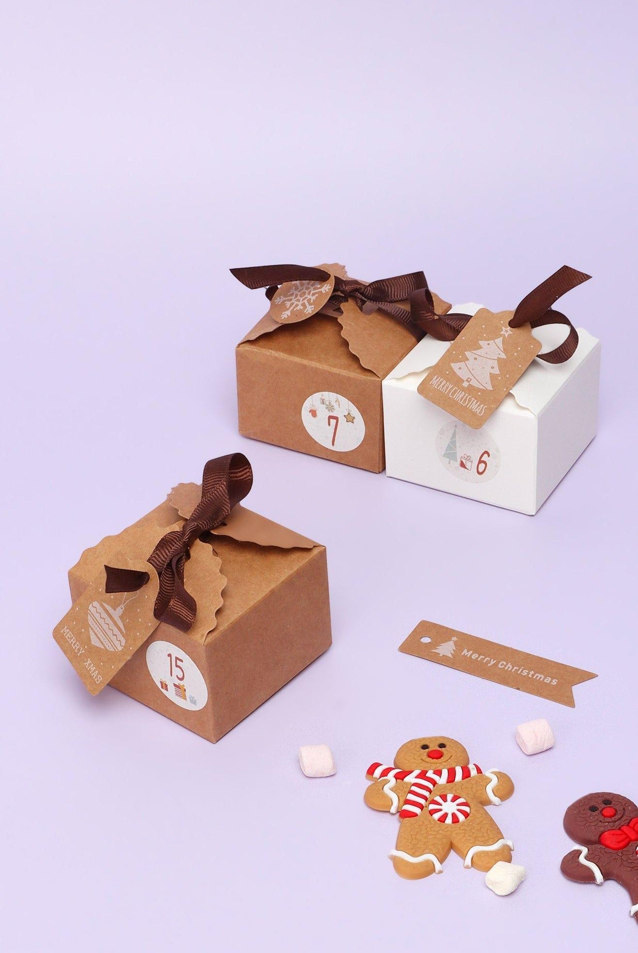 Cute Parcels Coudown Advent Calendar - G Decor