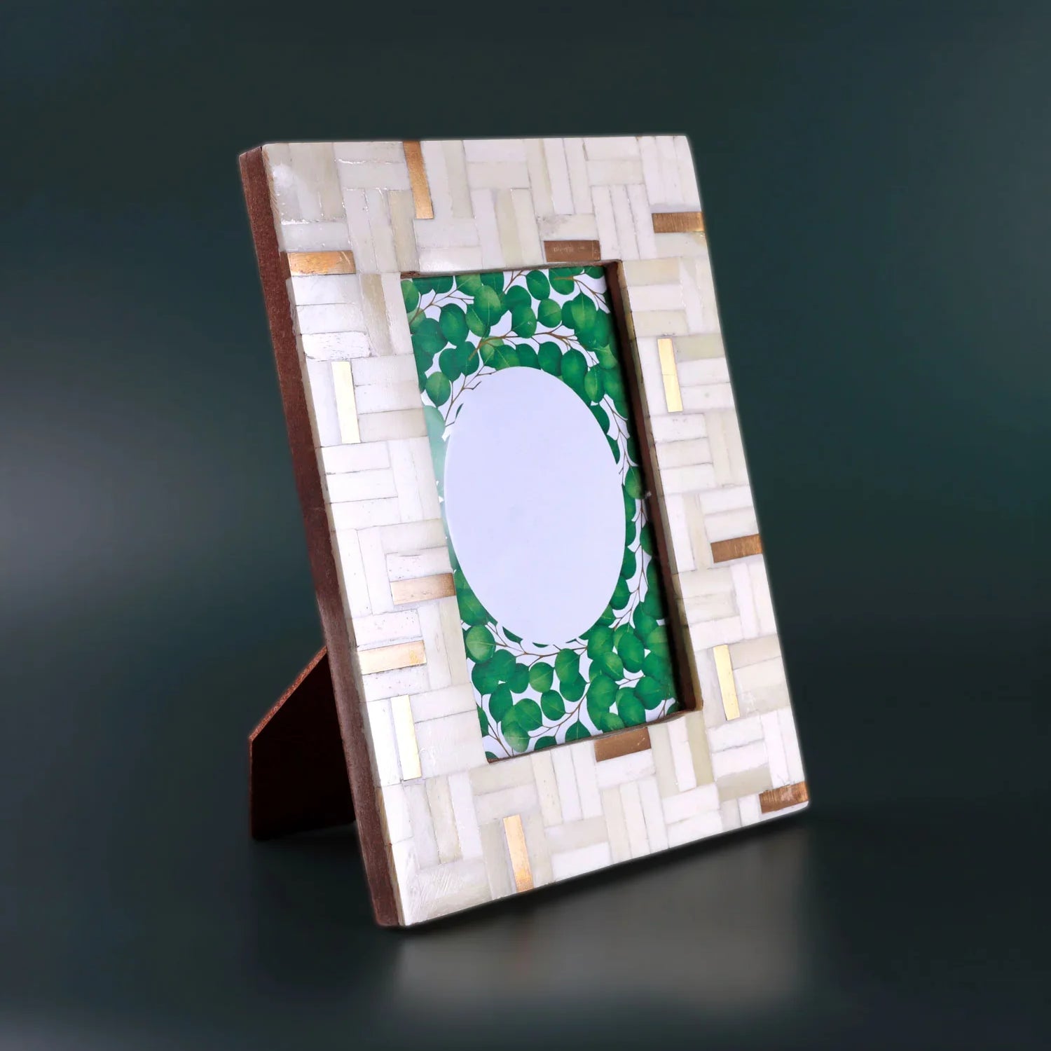 Milano Linea Handcrafted Horn Bone & Brass Photo Frame Cream & Gold Picture Display - G Decor