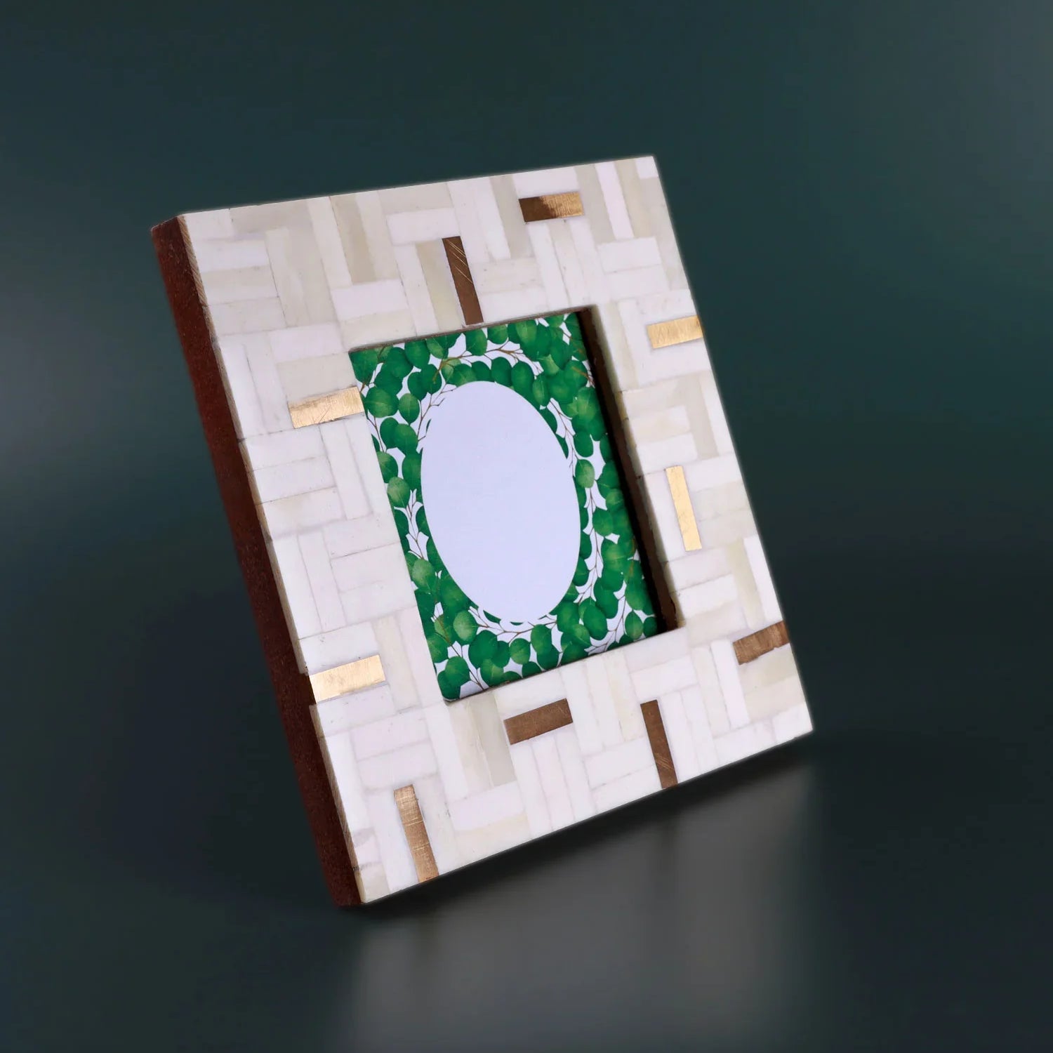 Milano Linea Handcrafted Horn Bone & Brass Photo Frame Cream & Gold Picture Display - G Decor