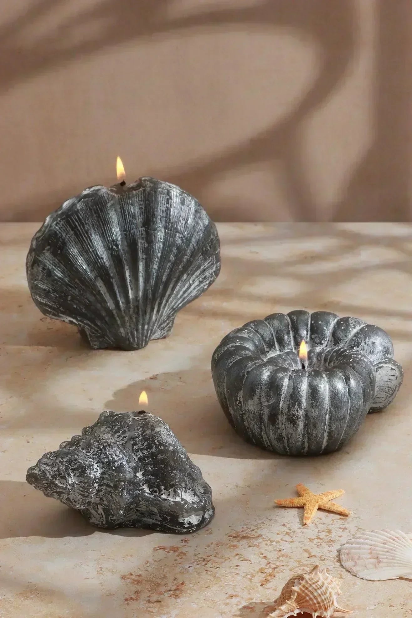Ocean Tides Coastal Shell Scented Candle in Grey — G Decor