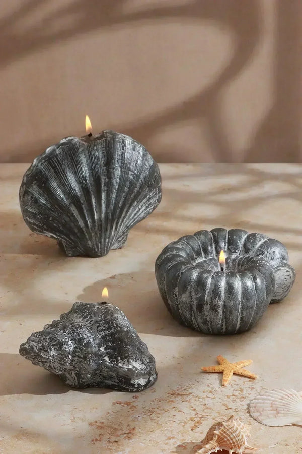 Bougie artisanale marine réaliste en coquillage gris de grande taille