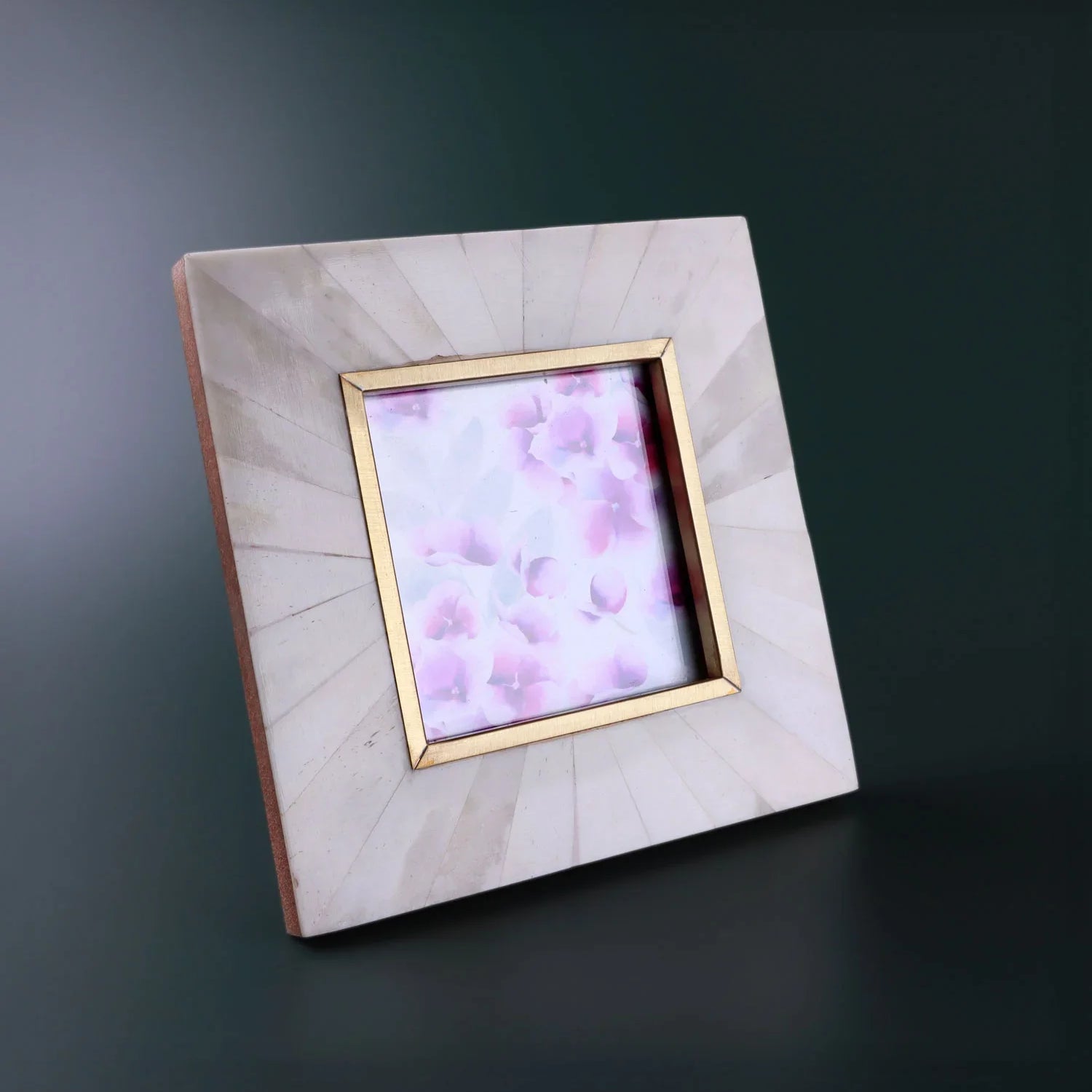 Profondo Crema Handcrafted Horn Bone & Brass Photo Frame Warm Cream & Gold Picture Display - G Decor