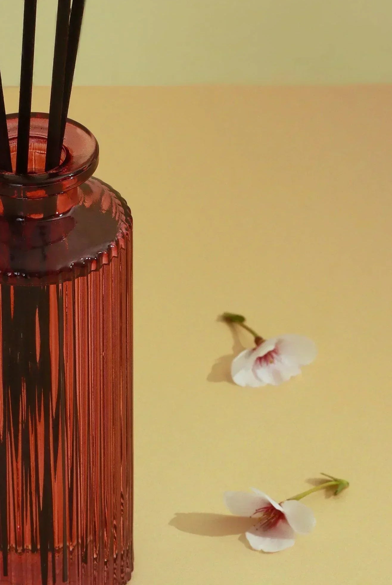 Sakura Blossom Scented Reed Diffuser with Gift Box - G Decor