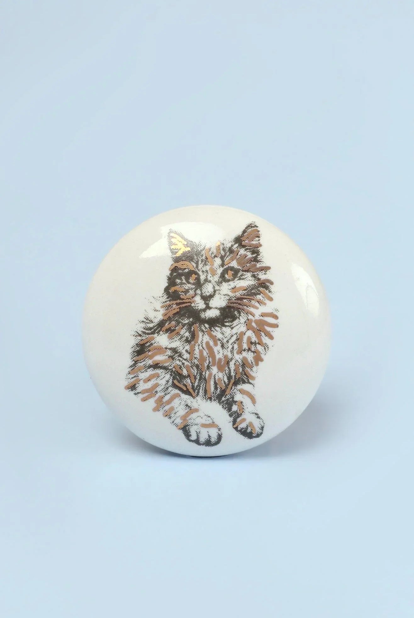 Set of 8 Black & Gold Ceramic Cat Door Knobs Sassy Meow Design - G Decor