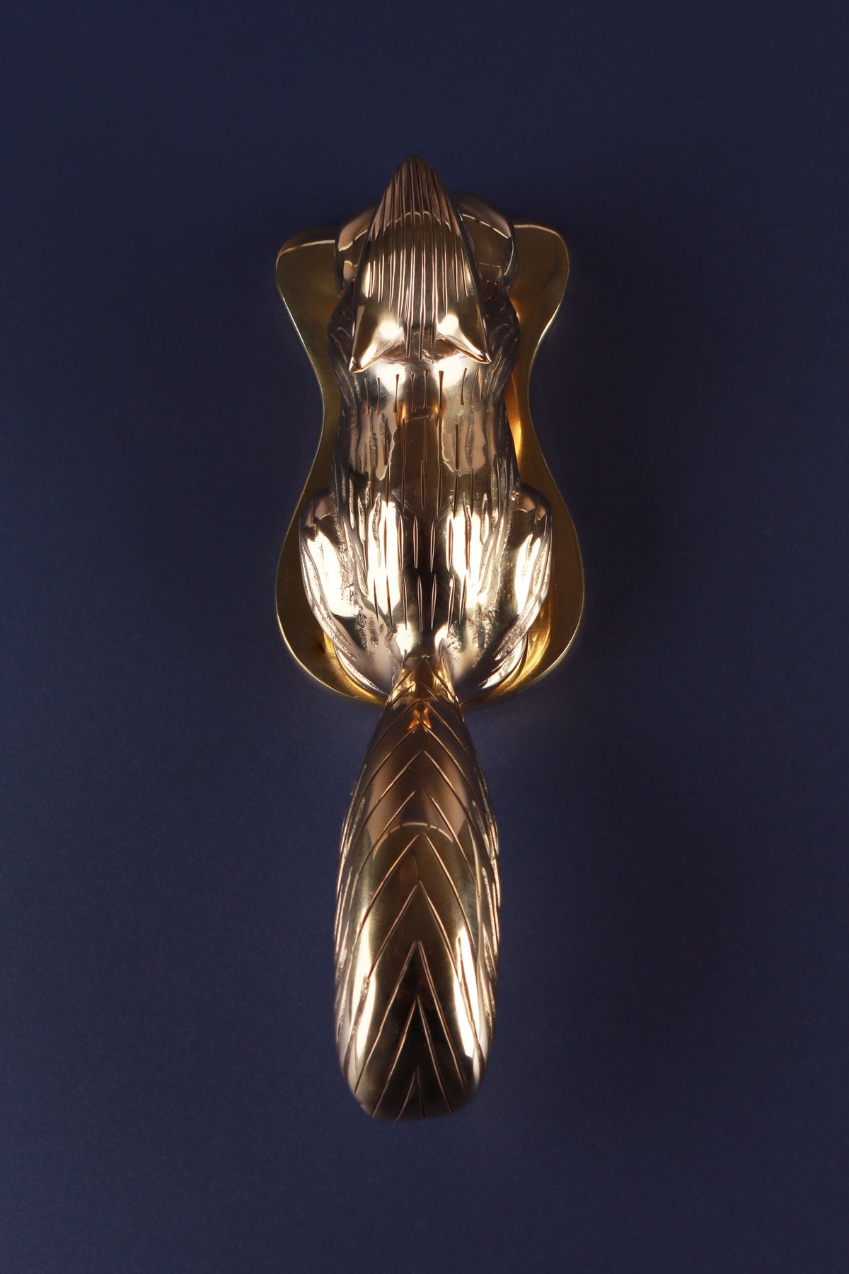 Brass squirrel door knocker from the front, showing its bushy tail