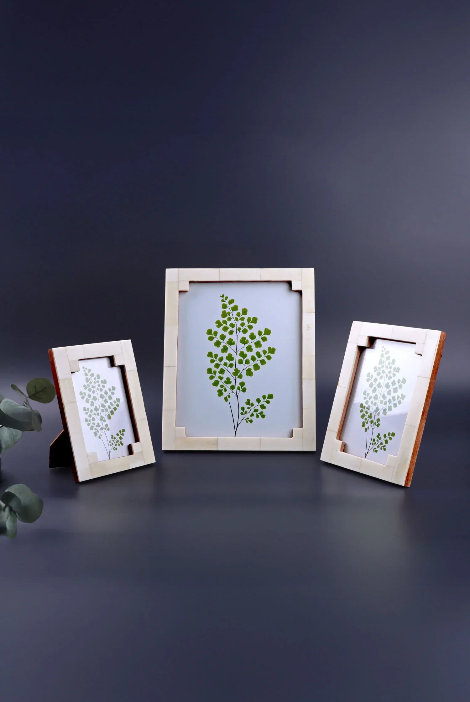 Tectura Handcrafted Horn Bone Photo Frame Architectural Cream Tones Picture Display - G Decor