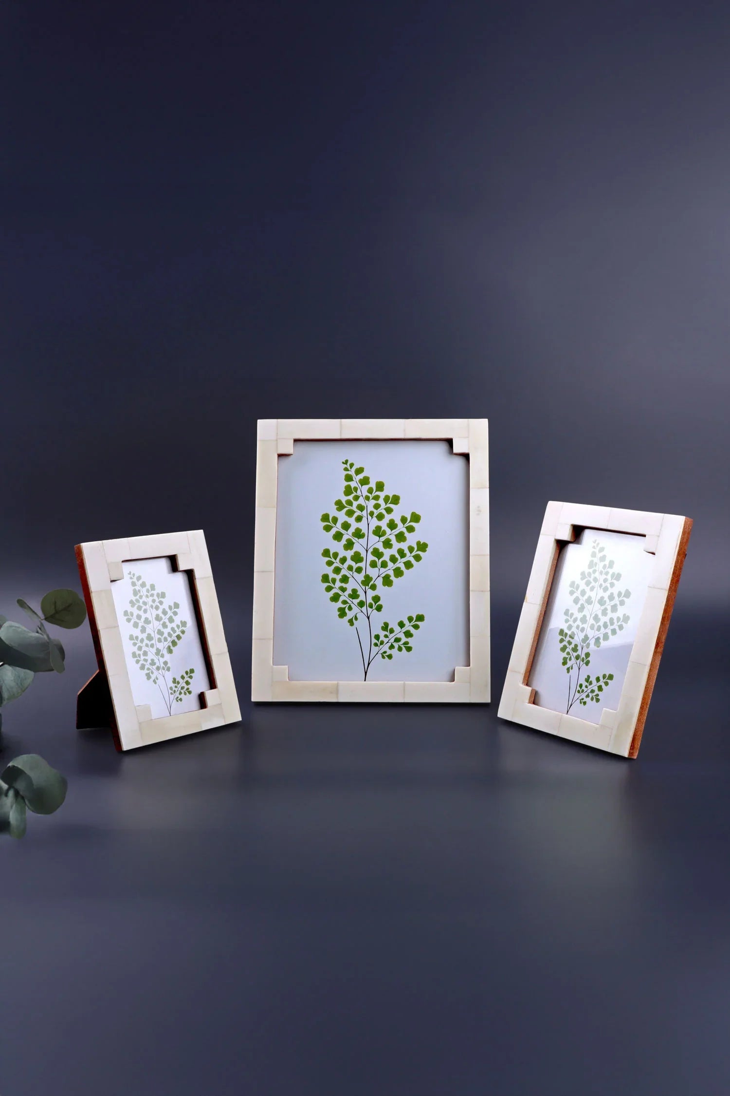 Tectura Handcrafted Horn Bone Photo Frame Architectural Cream Tones Picture Display - G Decor