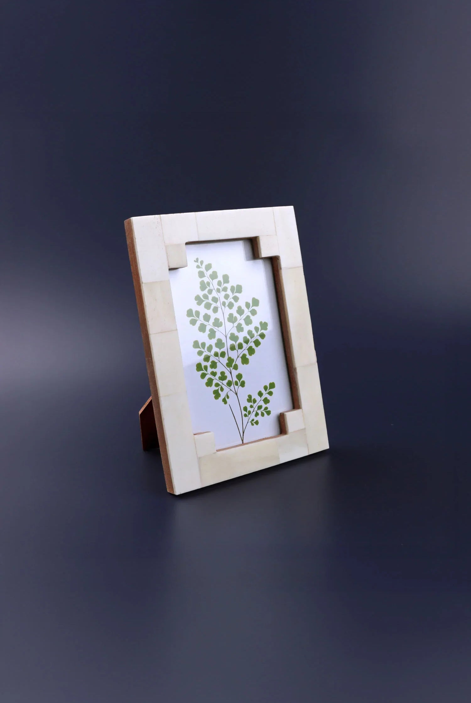 Tectura Handcrafted Horn Bone Photo Frame Architectural Cream Tones Picture Display - G Decor