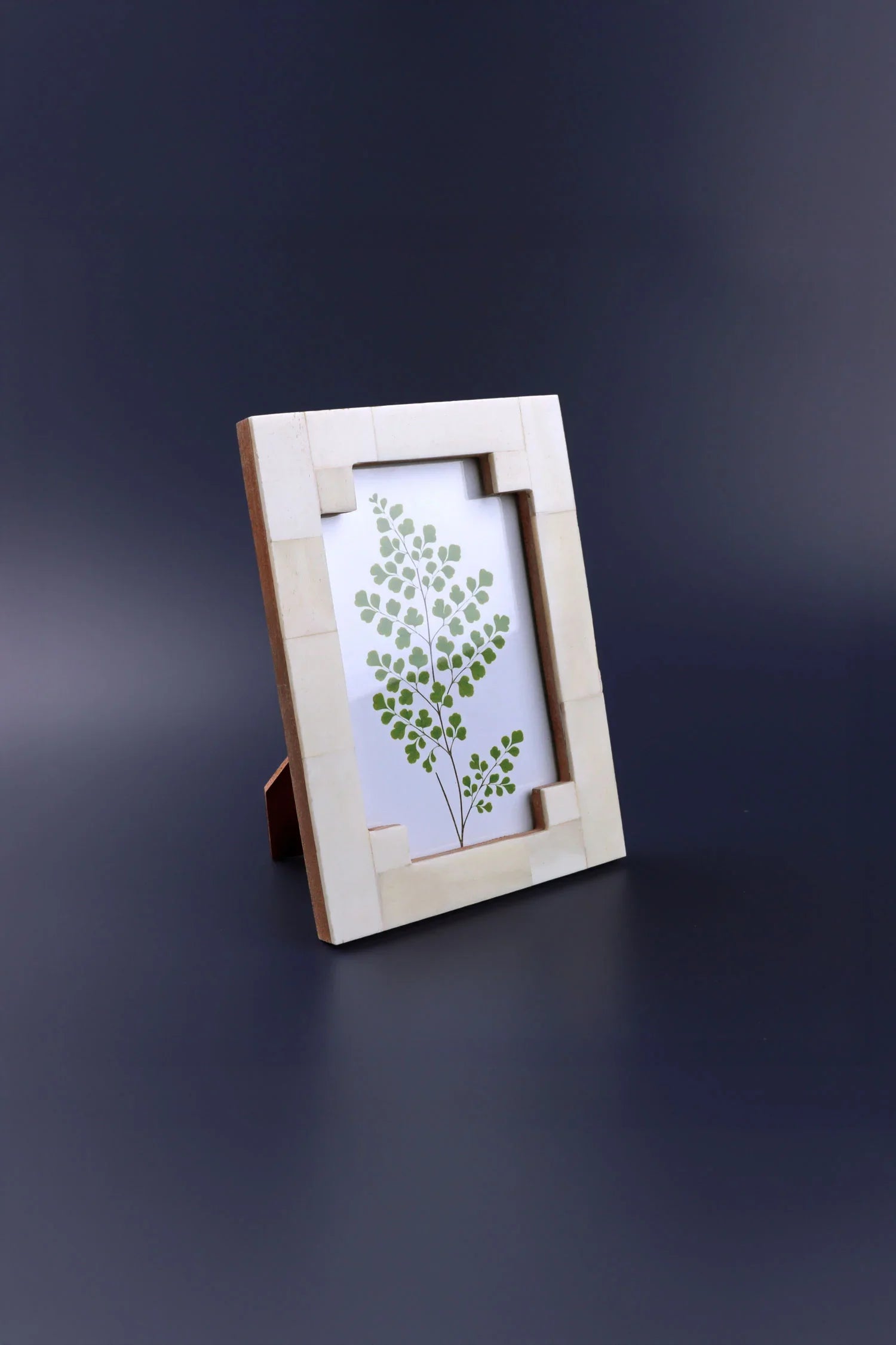 Tectura Handcrafted Horn Bone Photo Frame Architectural Cream Tones Picture Display - G Decor