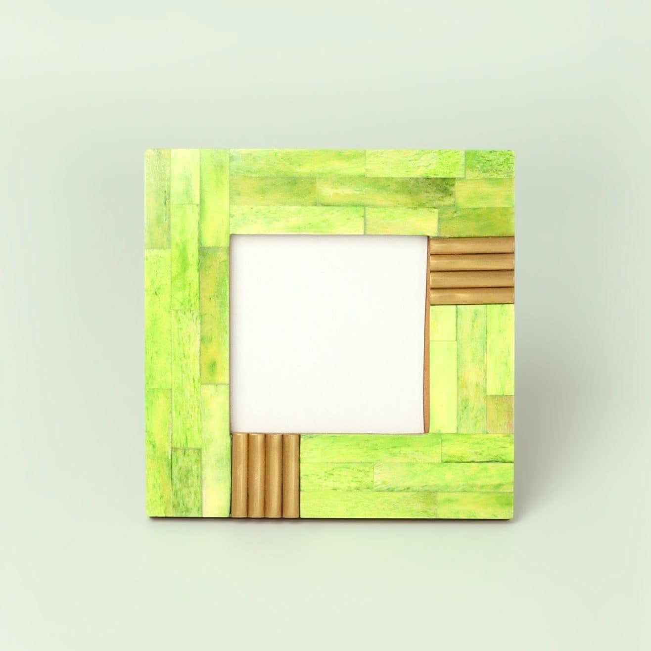 Colour Splash Handcrafted Horn Bone & Brass Photo Frame Bold Statement Display - G Decor