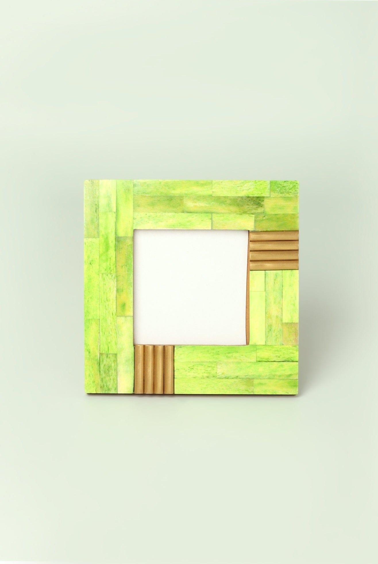 Colour Splash Handcrafted Horn Bone & Brass Photo Frame Bold Statement Display - G Decor