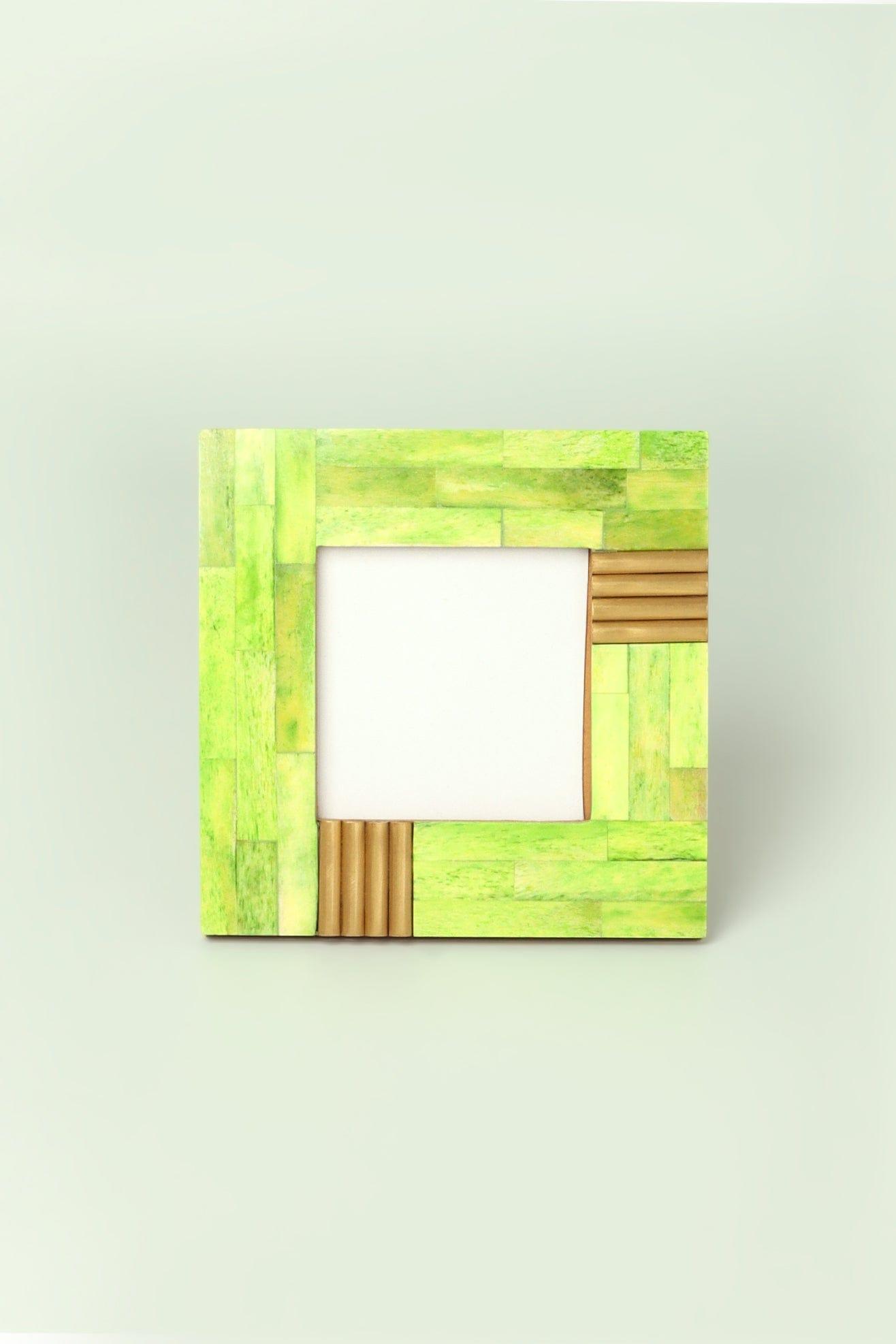 Colour Splash Handcrafted Horn Bone & Brass Photo Frame Bold Statement Display - G Decor