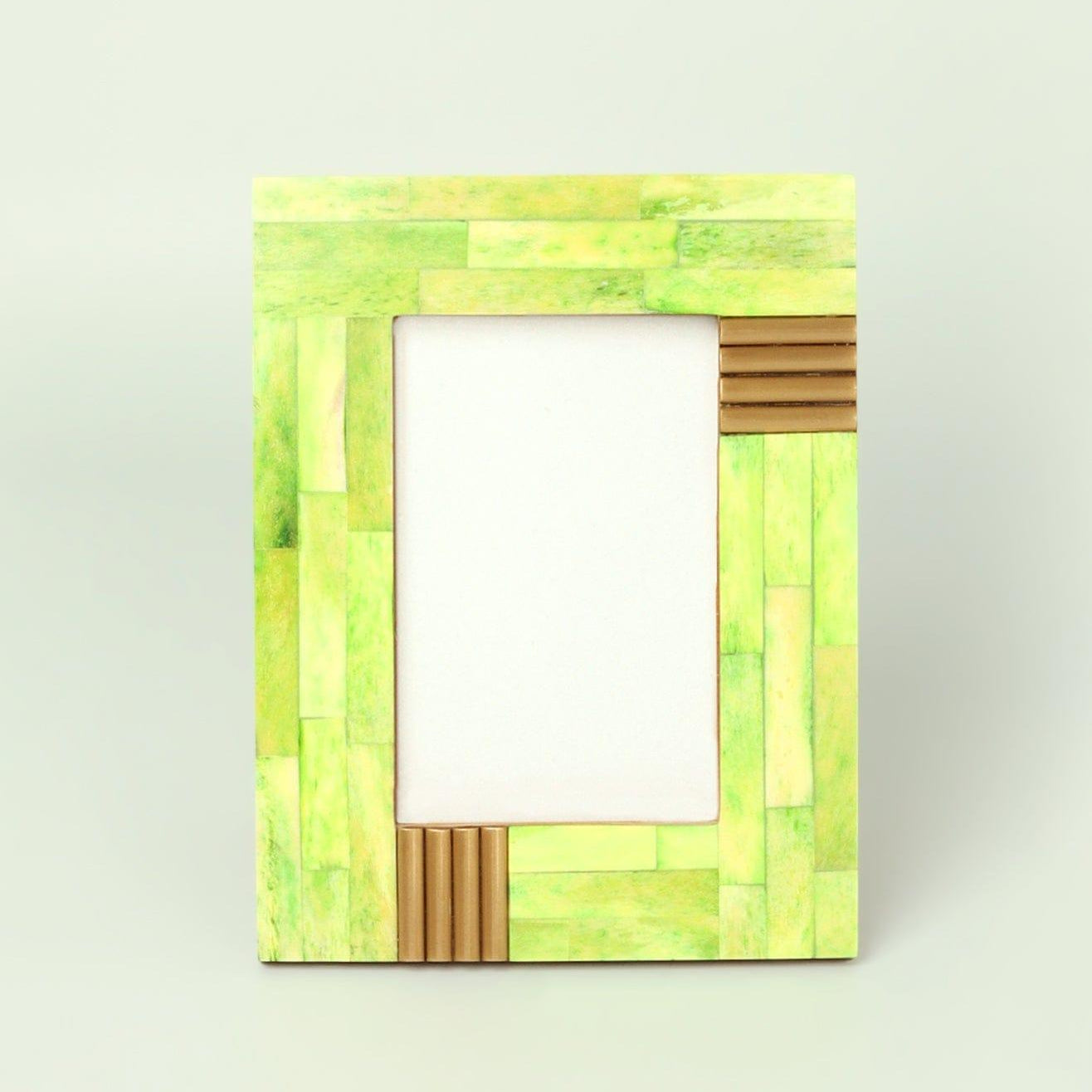 Colour Splash Handcrafted Horn Bone & Brass Photo Frame Bold Statement Display - G Decor