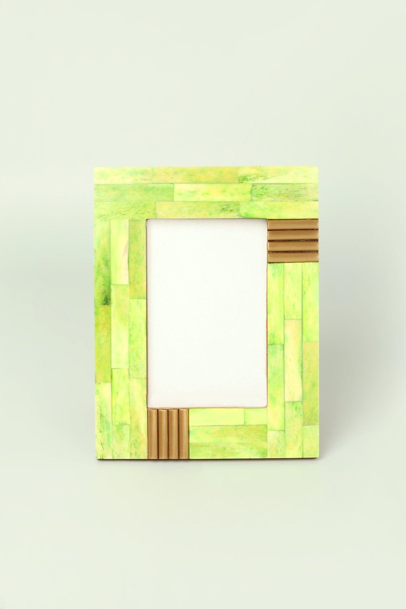 Colour Splash Handcrafted Horn Bone & Brass Photo Frame Bold Statement Display - G Decor