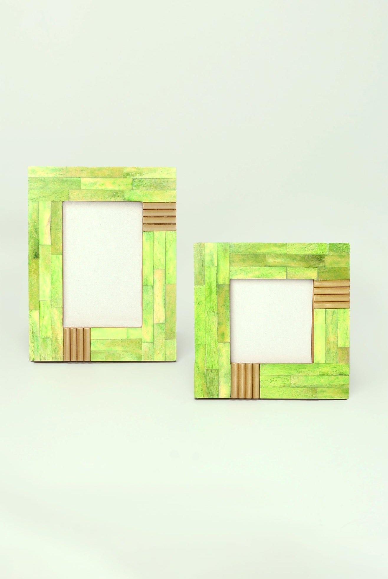 Colour Splash Handcrafted Horn Bone & Brass Photo Frame Bold Statement Display - G Decor