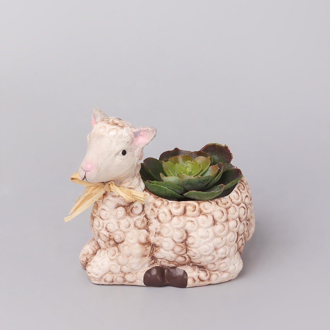 Cute Small Ceramic Sheep Planter - G Decor