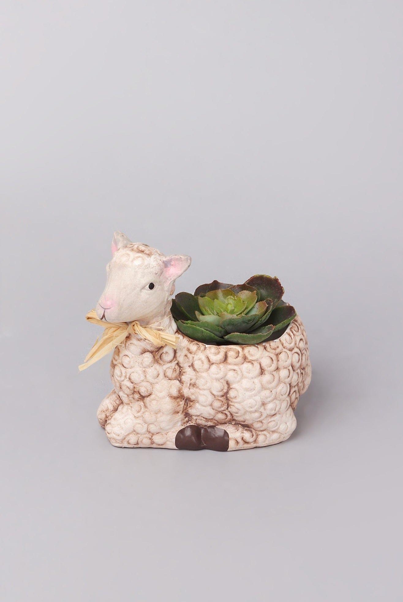 Cute Small Ceramic Sheep Planter - G Decor