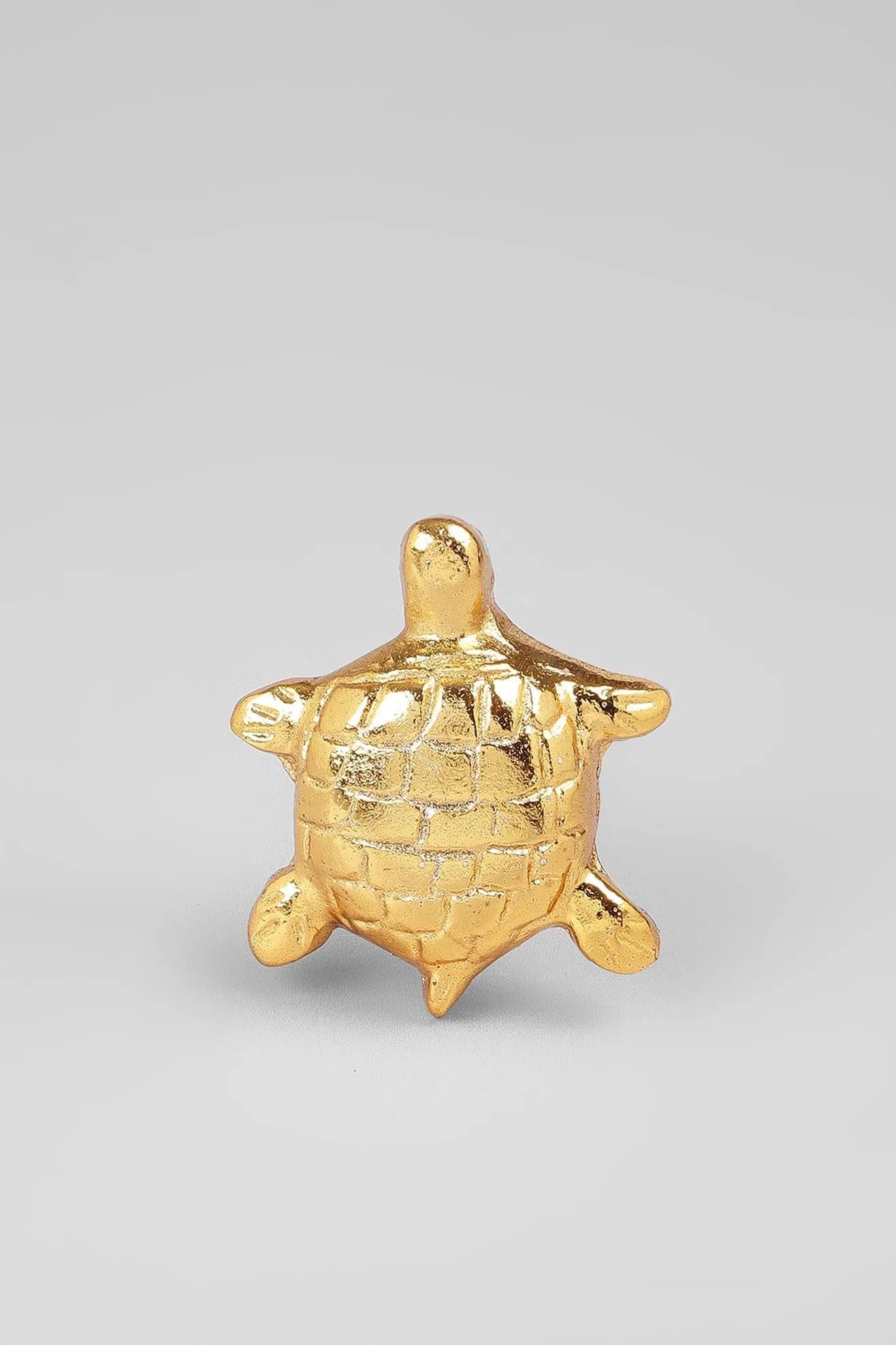 Nature Turtle Designer Cabinet Pull Handle — close-up view, G Decor