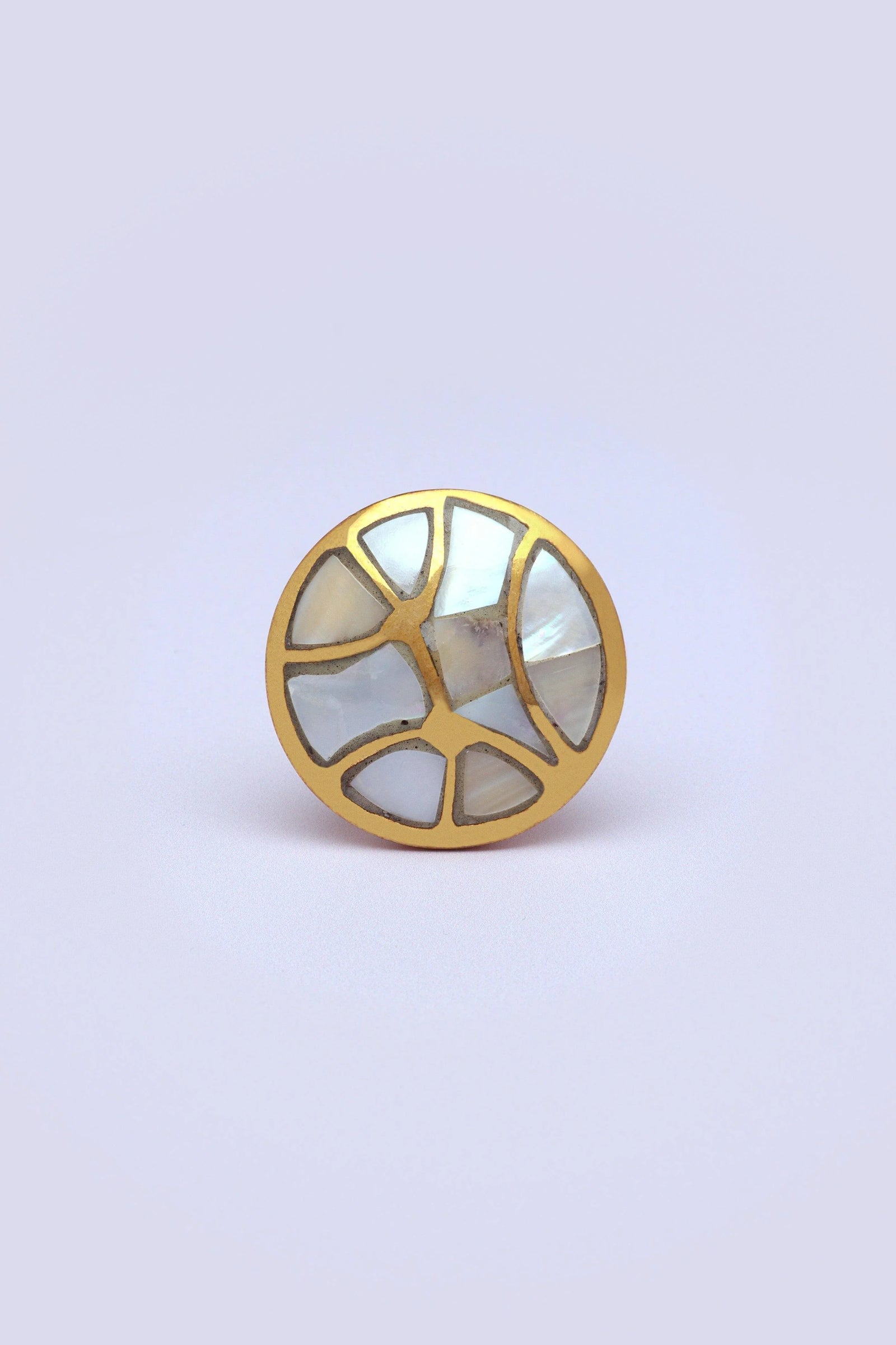 Elizabeth Legacy Mother of Pearl and Polished Brass Cabinet Pull Knob — lifestyle view, G Decor
