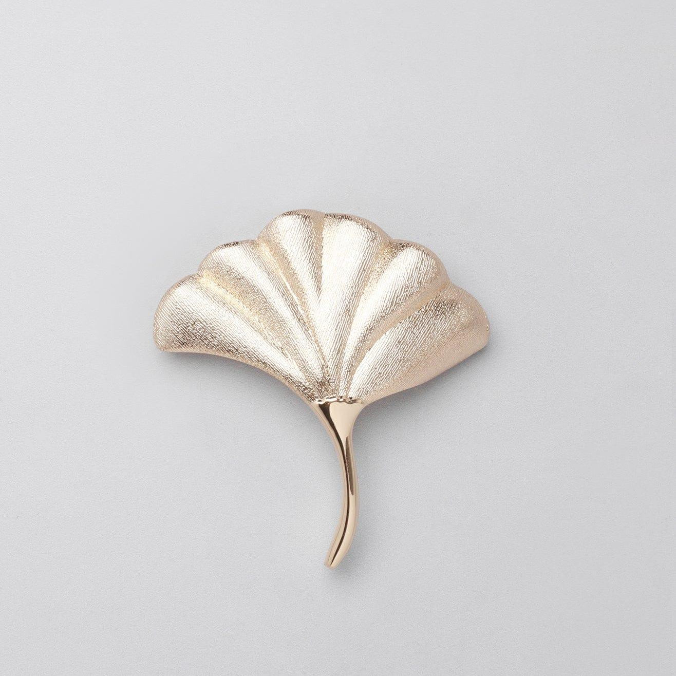 Fossil Ginkgo Gold Matte Door Knob - G Decor