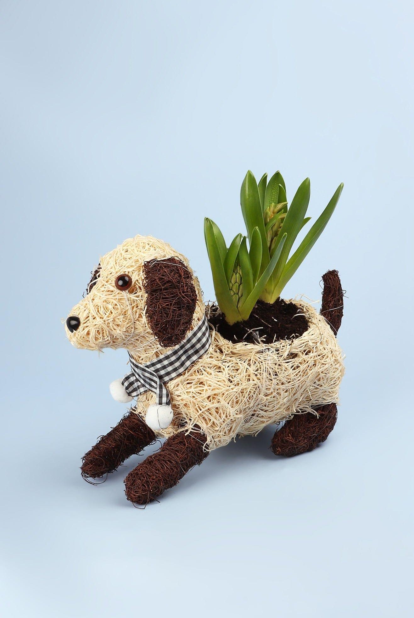 Lovely Sitting Fibre Dog Planter - G Decor