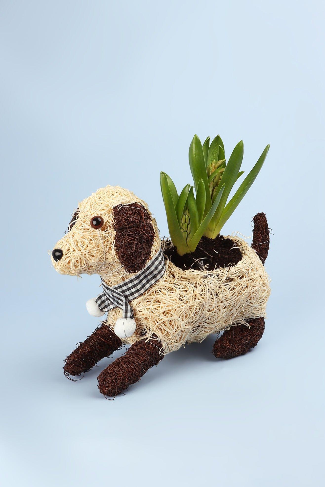 Lovely Sitting Fibre Dog Planter - G Decor
