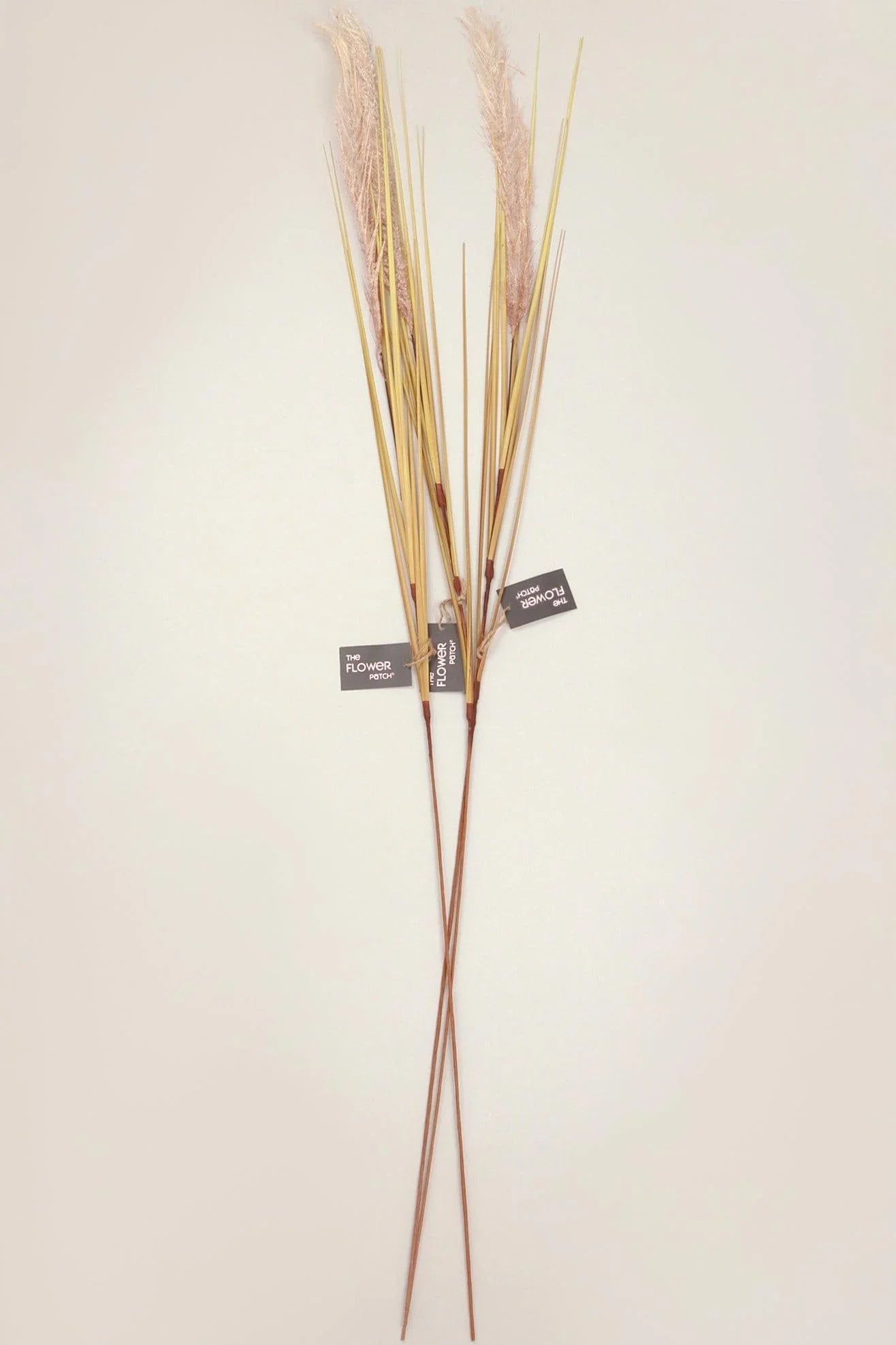 Set of 3 Extra Large Wild Grass Reed Stems — view 5, G Decor