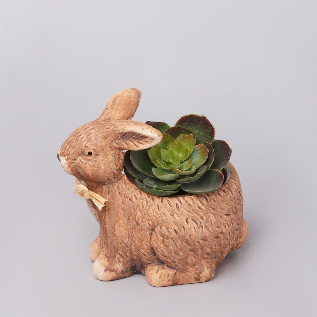 Wild Ceramic Bunny Planter - G Decor
