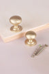 Bun cabinet knob in satin brass, shown in 32mm and 38mm