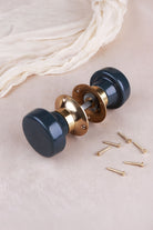Charcoal ceramic mortice door knobs joined by the spindle through their polished brass roses, as they sit on a door