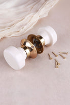 Cream ceramic mortice door knobs joined by the spindle through their polished brass roses, as they sit on a door