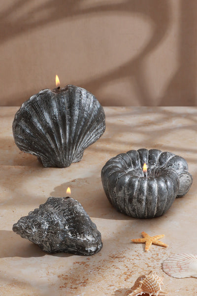 Grey Seashell Marine Realistic Nautical Coastal Artisan Large Candle