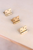 Brass backflap hinges open, showing the broad leaves