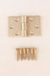 Backflap hinge in satin brass, lacquered finish