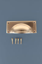 Rounded Plate cup pull in polished brass, unlacquered living finish