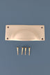 Rounded Plate cup pull in satin brass, lacquered finish
