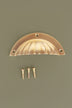 Fluted cup pull in polished brass, unlacquered living finish