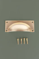 Bevelled Plate cup pull in polished brass, unlacquered living finish