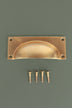 Bevelled Plate cup pull in aged brass, unlacquered living finish