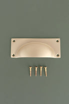 Bevelled Plate cup pull in satin brass, lacquered finish