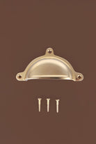 Classic cup pull in polished brass, unlacquered living finish
