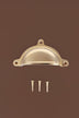 Classic cup pull in polished brass, unlacquered living finish