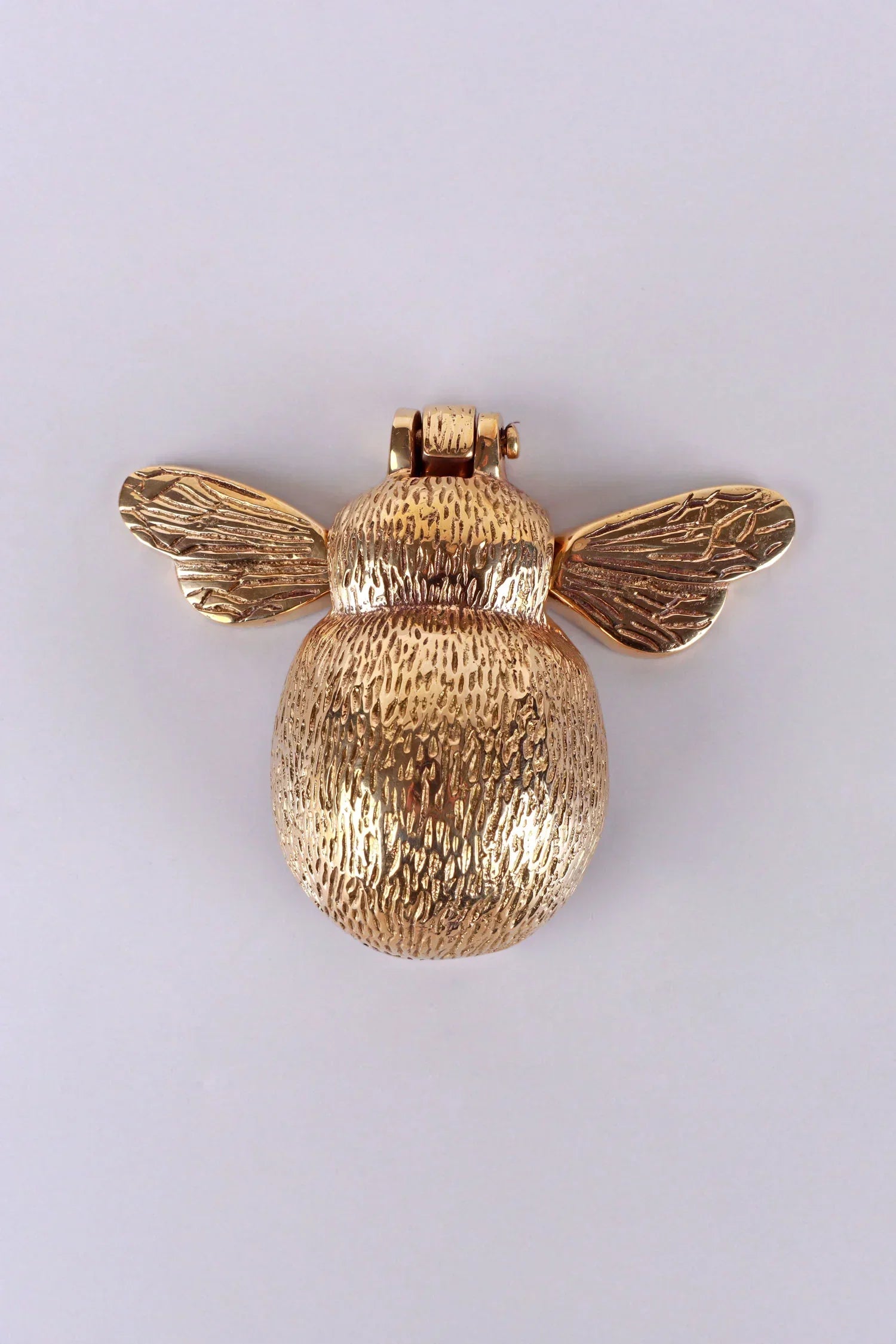Honeybee Polished Brass Door Knocker — close-up view, G Decor